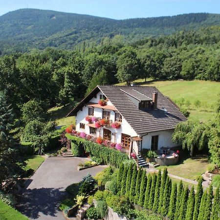 La Maison Fleurie Dieffenbach-au-Val Buitenkant foto