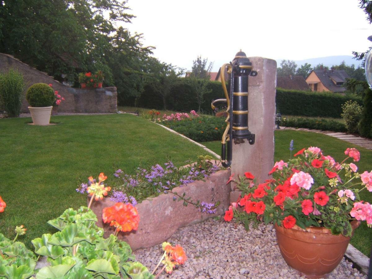 La Maison Fleurie Dieffenbach-au-Val Buitenkant foto