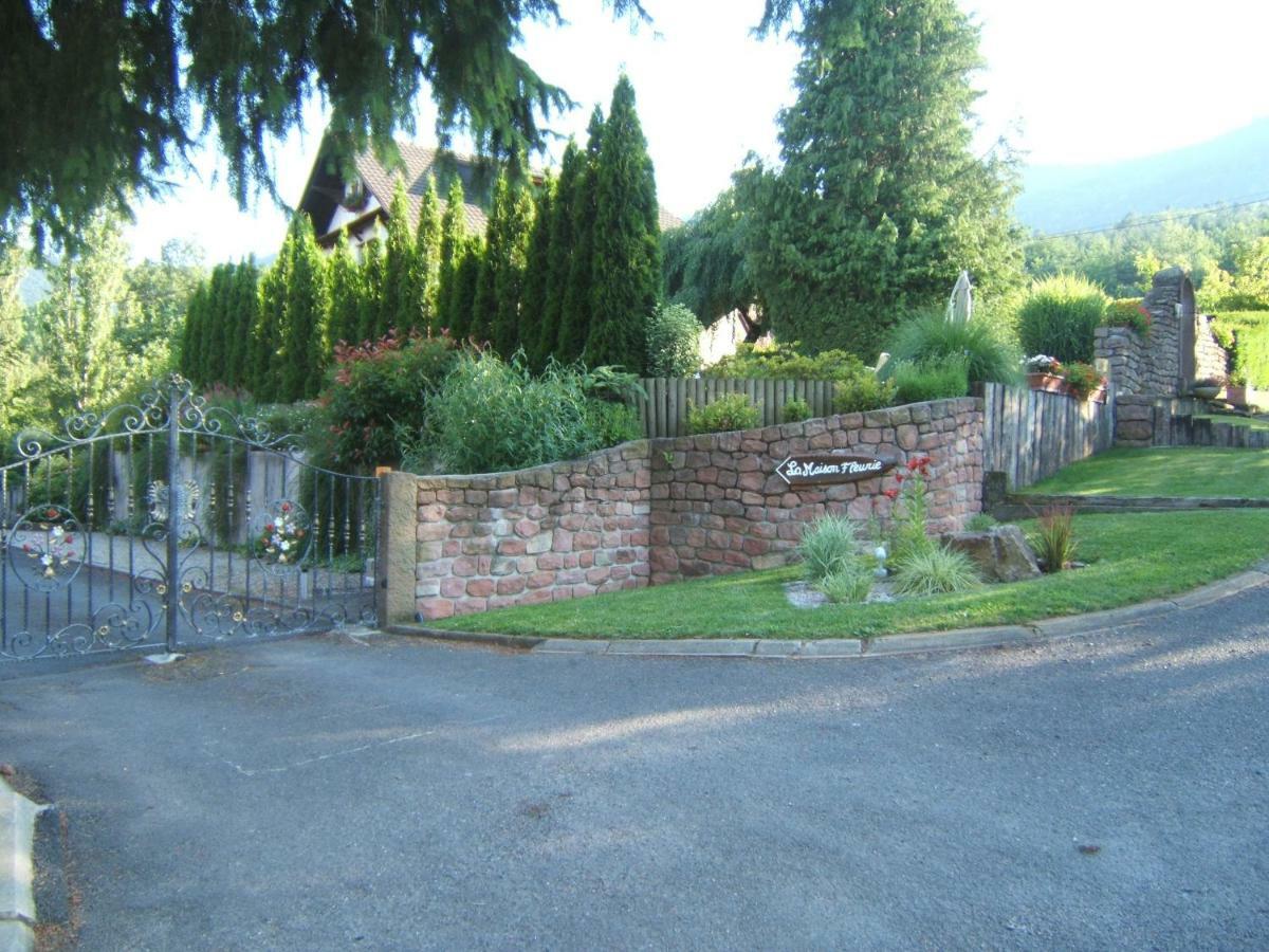 La Maison Fleurie Dieffenbach-au-Val Buitenkant foto